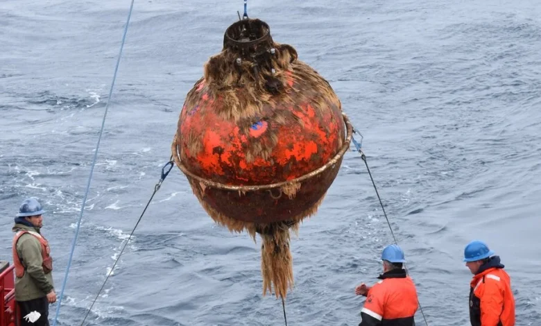 Trump Administration to Dismantle the Ocean Observatories Initiative