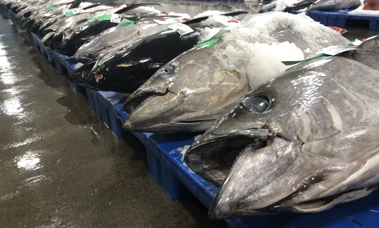 Trump Reopens Protected Hawaiian Waters To Commercial Fishing