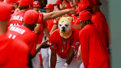 Two Georgia players showed up to watch rival Georgia Tech suffer season-ending loss - DawgNation