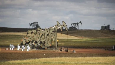 US Crude Oil, Gasoline Inventories Keep Sinking, but Prices Don’t Care