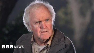 US actor James Handy stabbed to death, with girlfriend's son arrested