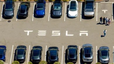 US watchdog opens probe after Tesla crashes into Texas home, killing woman | Automotive Industry