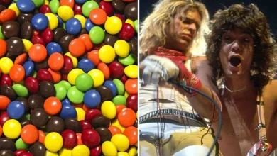 Van Halen's 'No Brown M&M's' Rule Will Soon Become Law