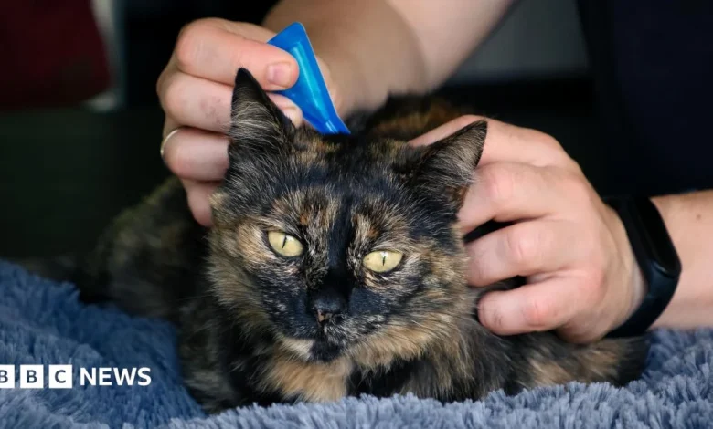 Vets advise ban on over the counter flea treatment for pets