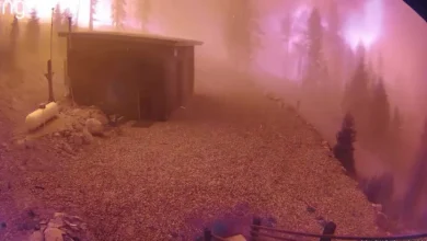 WATCH: Video shows Cottonwood Fire brutally devour cabin in minutes