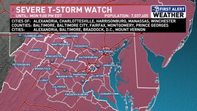 WEATHER ALERT: Severe thunderstorm watch issued for DC