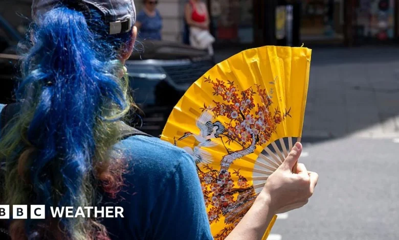 Warmest spring on record declared for England and Wales