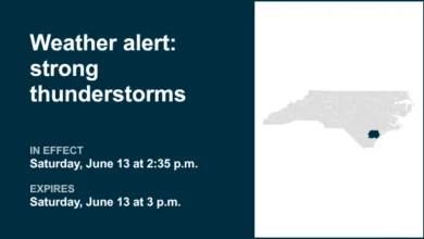 Weather alert in place for Inland Pender Saturday afternoon - gusts up to 50 mph