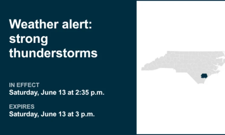 Weather alert in place for Inland Pender Saturday afternoon - gusts up to 50 mph