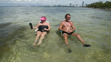 Wet blanket or furnace? Is Florida humidity more dangerous than dry heat?