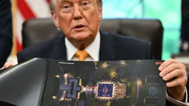 What we know about the UFC fight at the White House