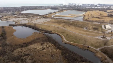 What's next for the Bears after their stadium bill stalls in Springfield