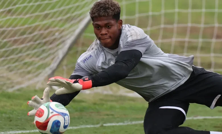 Who is Zion Suzuki? What to know about USA-born Japan World Cup star