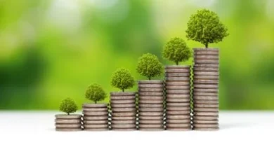 Why families use Family Investment Companies (FICs)?