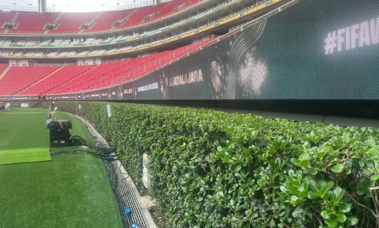 Why hedges surround one World Cup pitch at Estadio Akron - The Athletic