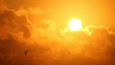 Why is June 1st the start of meteorological summer? It's science!
