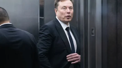 Why odds of SpaceX merger with Tesla keep climbing every time the stock shoots up