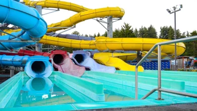 Wild Waves Theme Park's impending closure sparks backlash from Washington residents