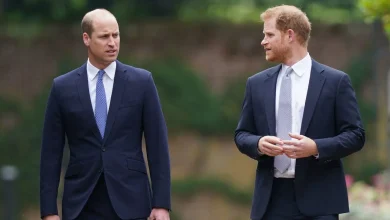Will Prince William and Prince Harry Meet Next Month?