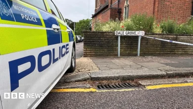 Woman, 19, dies after gunshots heard at house in Finchley, London