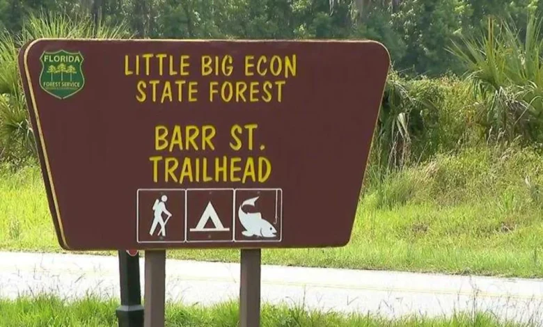 Woman dies after alligator bites off her arm in Florida river