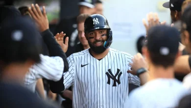Yankees Select Ali Sánchez - MLB Trade Rumors