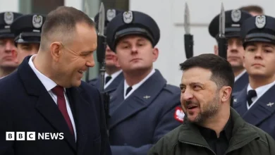 Zelensky under pressure to end row with Poland over WW2 name of army unit