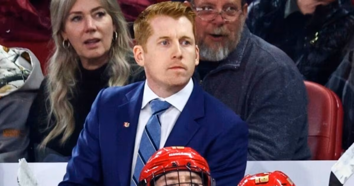 ‘No smoke’ to rumours linking Maple Leafs to Carle for head coaching vacancy, Johnston says