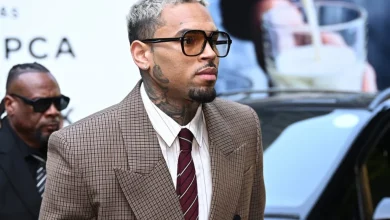 Chris Brown Dog Attack Trial Verdict: Housekeeper Wins $13 Million