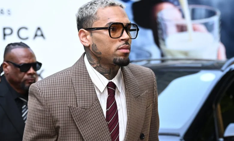 Chris Brown Dog Attack Trial Verdict: Housekeeper Wins $13 Million