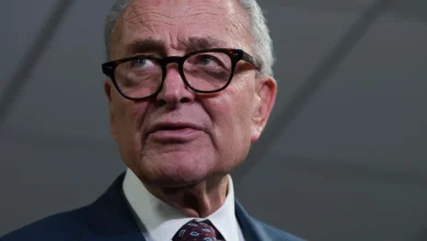 Did Abundance Democrats lose the battle for the party’s future?
