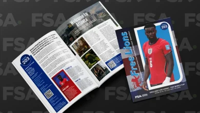 Free Lions 203 – Guide to Atlanta