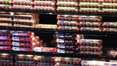 Justice Department settles with top US egg producers over alleged price manipulation
